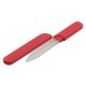Glass nail file in red hard case